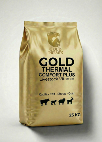 GOLD TERMAL COMFORT PLUS